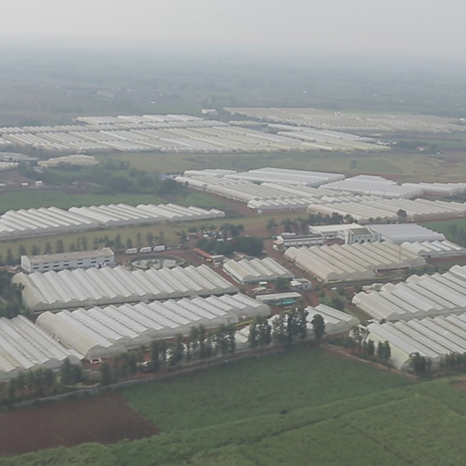 An aerial view of one of the farms